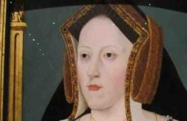 Генрих VIII и его жены - история Тюдоров в картинках Каких жен казнил генрих 8